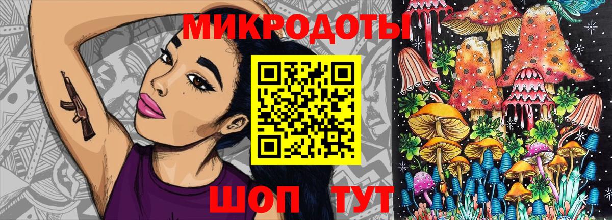 Галлюциногенные грибы Cubensis Грозный